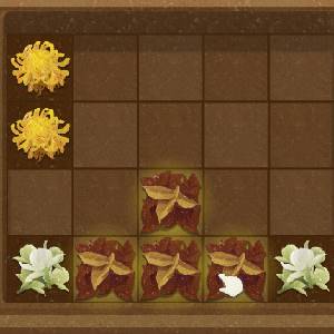 24 Solar Terms Ervas