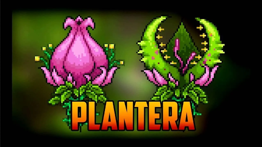 comprar Plantera chave de jogo barata