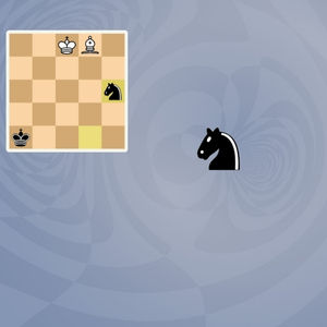 5D Chess With Multiverse Time Travel - Cavaleiro