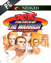 ACA NEOGEO ART OF FIGHTING 3 Pc