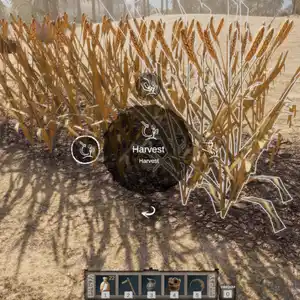 Ancient Farm - Colheita