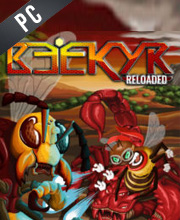 Beekyr Reloaded Pc