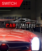 Car Detailing Simulator Switch
