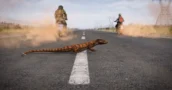 DLC DayZ Badlands: Como Economizar Fora Das Lojas Oficiais