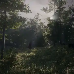 Dead Man’s Diary - Floresta