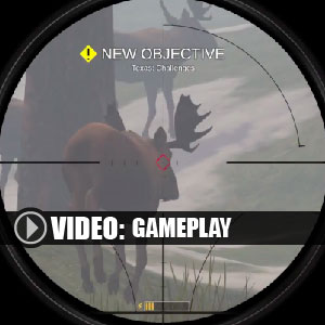 Deer Hunter Reloaded PS4 Gameplay Video