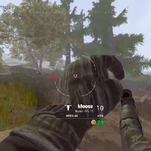 Gameplay Image