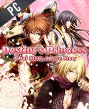 Destinys Princess A War Story A Love Story