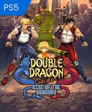 Double Dragon Gaiden Rise of the Dragons Playstation 5