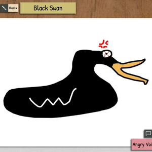Draw & Guess - Cisne Negro