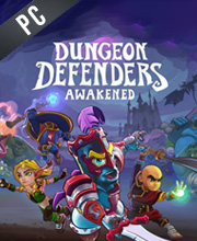 Dungeon Defenders Awakened Pc