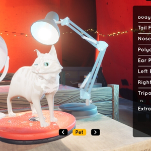 Finding Mosey - Gato