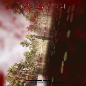 Hunt Showdown Environment