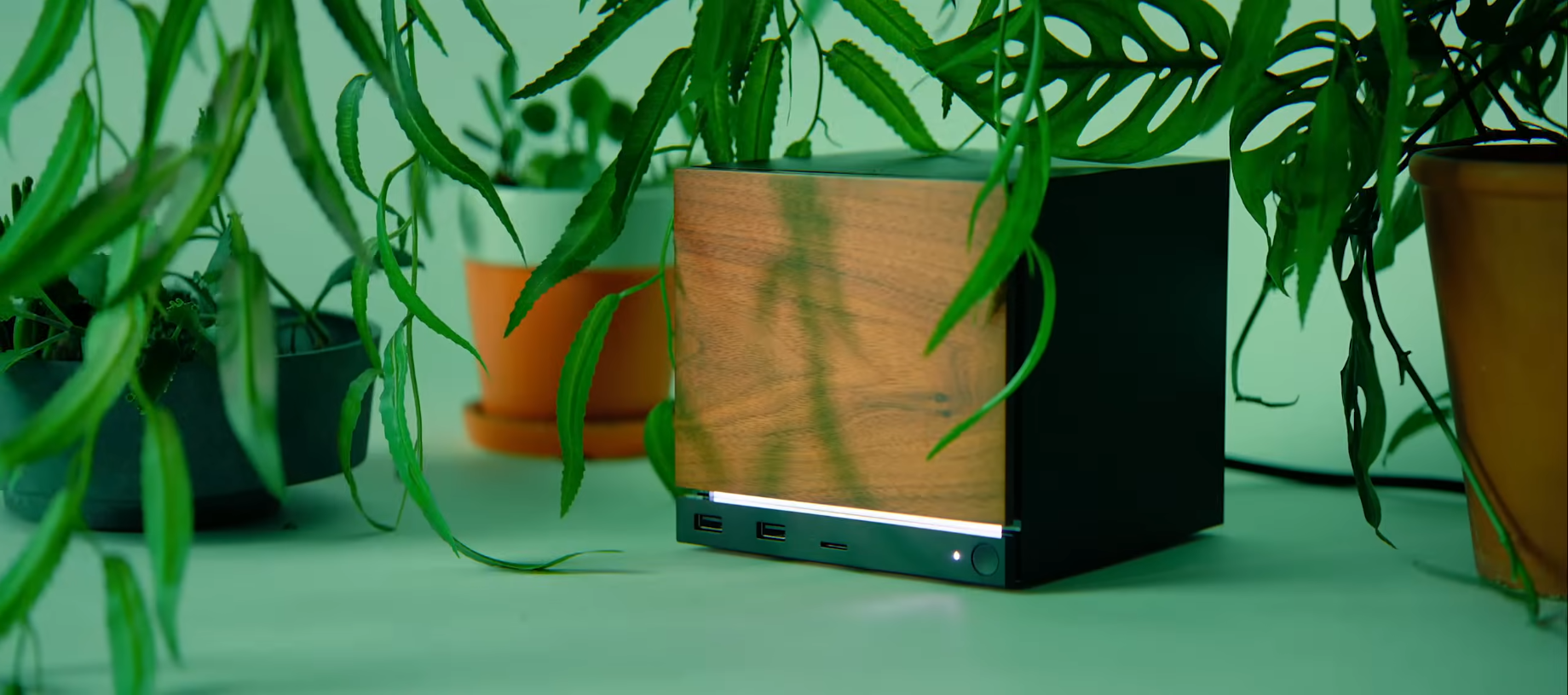 Steam Machine entre folhas