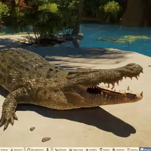 Planet Zoo 2 - Crocodilo de Água Salgada