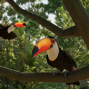 Planet Zoo 2 - Tucanos Toco