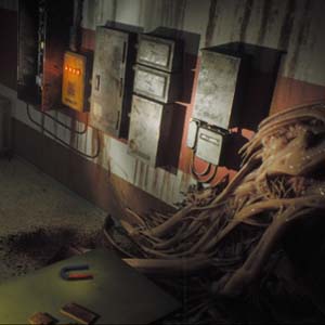 Post Trauma Massa de Carne