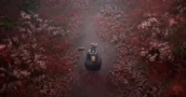Konami Planeia Lançamentos Anuais de Silent Hill com Vários Estúdios