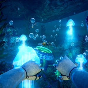 Stardiver 2024 Medusa