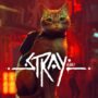 Stray: Conheça os Gatos do Mundo Real que Inspiraram o Jogo