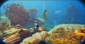 O Acesso Antecipado de Subnautica 2 Custa Menos em Mercados de Chaves