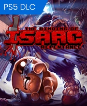 The Binding of Isaac Repentance Playstation 5