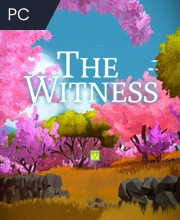 The Witness Pc