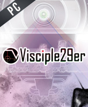 Visciple29er