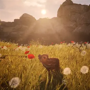 Adorable Adventures – Papoila