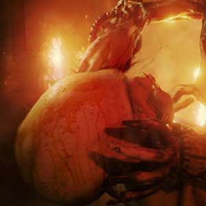 Survive in the extreme conditions