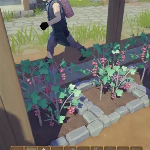 Alchemy Factory - Uvas