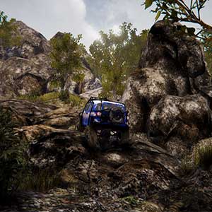 Natural Environments