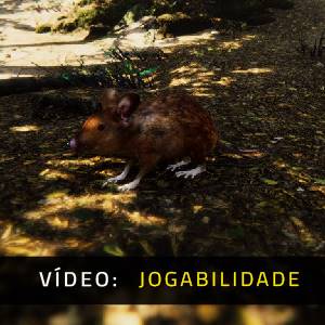 Animal Simulator - Jogabilidade
