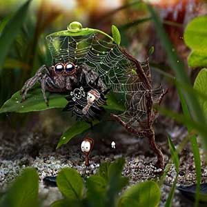 sonho há muito alimentado