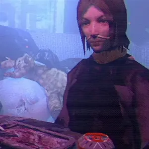 Arctic Eggs - Mulher