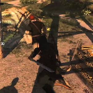 Assassins Creed 4 Black Flag Freedom Cry - Adéwalé e os Maroons