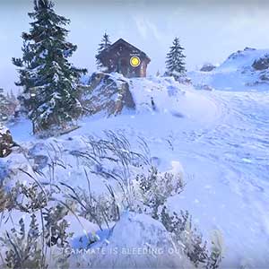 Battlefield 5 Battle Royale