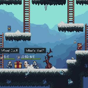 Bearnard - Picos Nevados