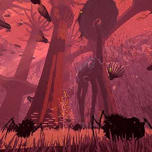 Boomerang X - Aracnídeos