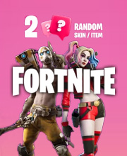 2 Random Fortnite Skins Xbox Series X