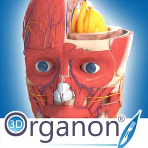 Comprar 3D Organon Anatomy CD Key Comparar Preços