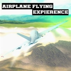 Airplane Flying Expierence