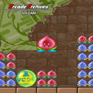 Arcade Archives SOLDAM Switch