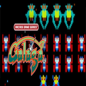 ARCADE GAME SERIES GALAGA Pc