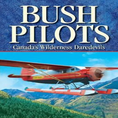 Comprar Aviator Bush Pilot CD Key Comparar Preços