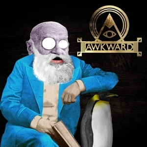 Awkward Playstation 4