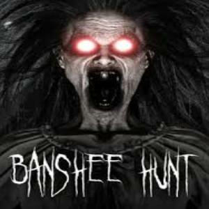 Banshee Hunt Pc