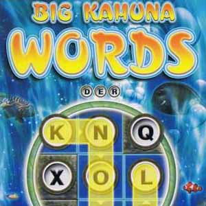 Comprar Big Kahuna Words CD Key Comparar Preços
