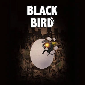 BLACK BIRD Playstation 5