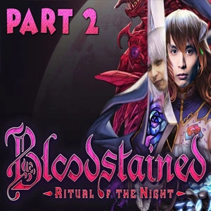 Bloodstained Ritual of the Night 2 Pc